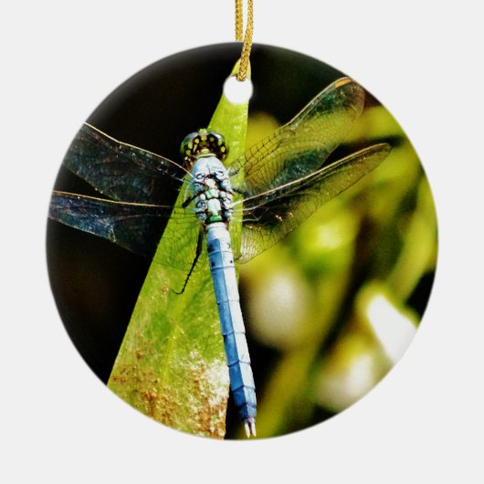 Light Blue Dragonfly Keramikornament (Vorne)