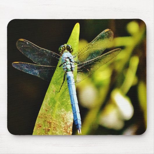 Light Blue Dragonfly Mousepad (Vorne)