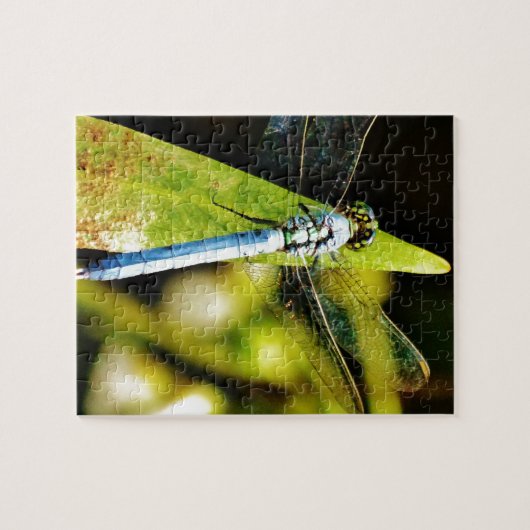 Light Blue Dragonfly Puzzle (Horizontal)