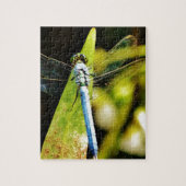 Light Blue Dragonfly Puzzle (Vertikal)