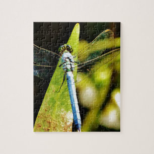 Light Blue Dragonfly Puzzle