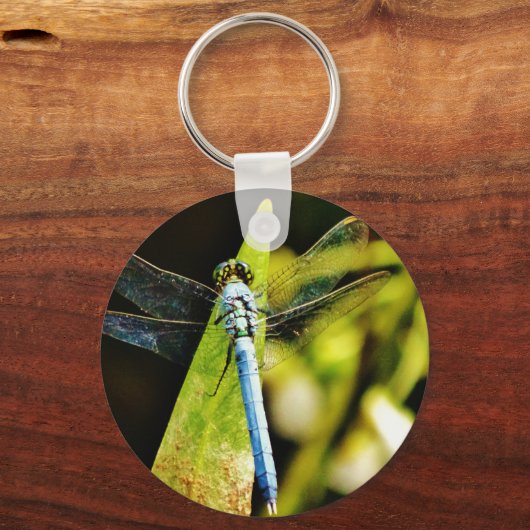 Light Blue Dragonfly Schlüsselanhänger (Vorderseite)