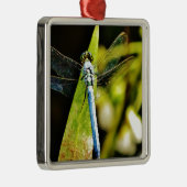 Light Blue Dragonfly Silbernes Ornament (Rechts)