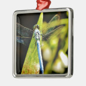 Light Blue Dragonfly Silbernes Ornament (Links)
