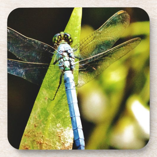 Light Blue Dragonfly Untersetzer (Vorderseite)