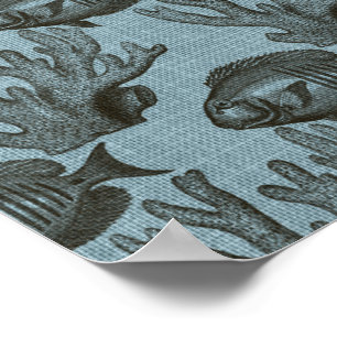 Light Blue Fish Sea Marine Corner Aquarium Rustic Poster