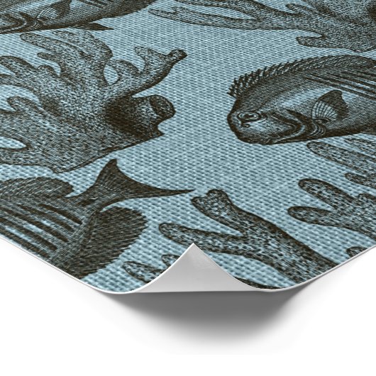 Light Blue Fish Sea Marine Corner Aquarium Rustic Poster (Ecke)