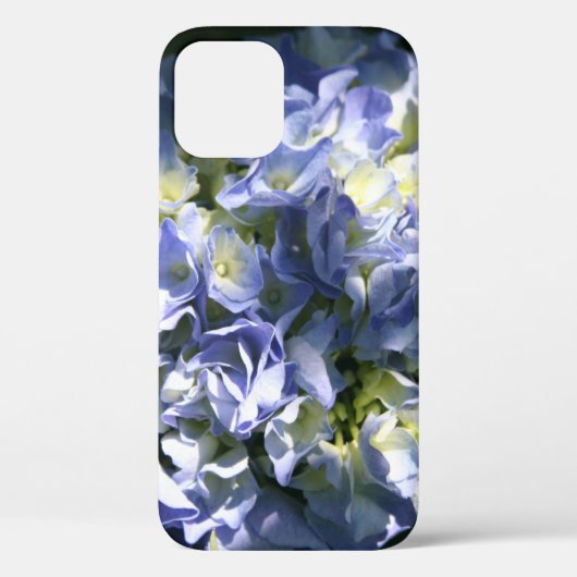 Light Blue Hydrangea Blume Case-Mate iPhone Hülle (Rückseite)