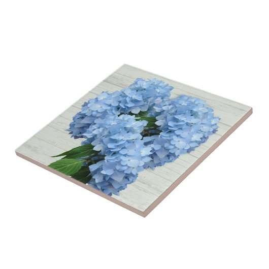 Light Blue Hydrangea-Blume Fliese (Seite)
