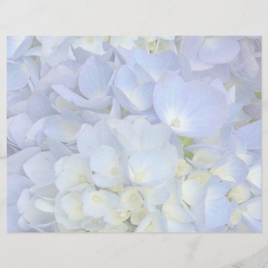 Light Blue Hydrangea Hochzeitskalender (Vorderseite)
