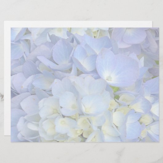 Light Blue Hydrangea Hochzeitskalender (Vorne/Hinten)