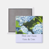 Light Blue Hydrangea Save the Date Magnet (Vorderseite/Rückseite)