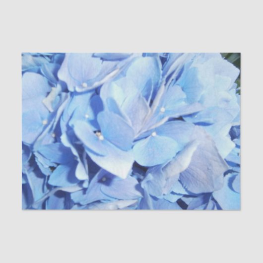 Light Blue Hydrangea Seidenpapier (Vorderseite)