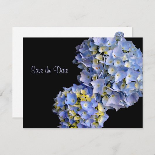 Light Blue Hydrangeas Floral Speichern Sie die Dat Ankündigungspostkarte (Vorne/Hinten)