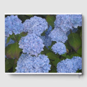 Light Blue Hydrangeas Gästebuch (Rückseite)