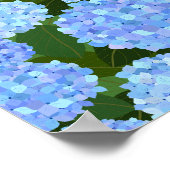 Light Blue Hydrangeas Poster (Ecke)