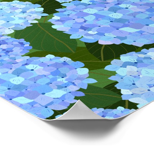 Light Blue Hydrangeas Poster (Ecke)