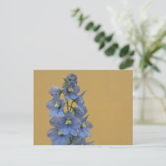Light Blue Larkspur Postkarte (Stehend Vorderseite)