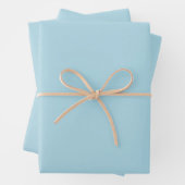 Light Blue Solid Color Geschenkpapier Set (Beispiel)