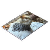 Light Brahma CHicken Notebook Notizblock (Linke Seite)