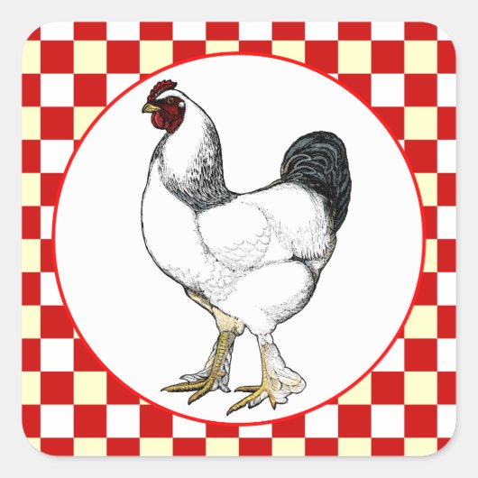 Light Brahma Rooster Chicken Restaurant Quadratischer Aufkleber (Vorderseite)