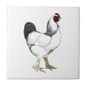 Light Brahma Rooster - Elegantes Vintages Huhn Fliese (Vorderseite)