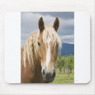 Light Brown Horse Mousepad