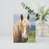 Light Brown Horse Postkarte (Stehend Vorderseite)