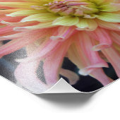 Light Dahlia 10x8 Fotodruck (Ecke)