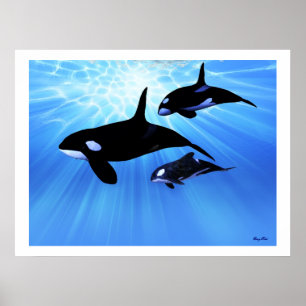 LIGHT ECHO DRUCK POSTER