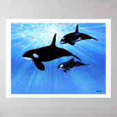 LIGHT ECHO DRUCKEN POSTER (Vorne)