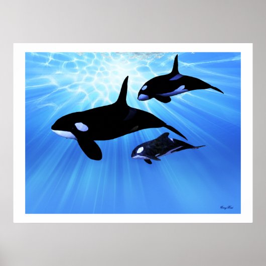 LIGHT ECHO DRUCKEN POSTER (Vorne)