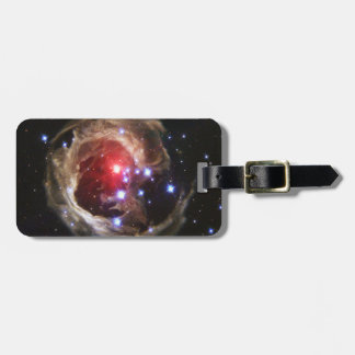 Light Echo Luggage Tag Gepäckanhänger