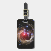 Light Echo Luggage Tag Gepäckanhänger (Vorderseite vertikal)
