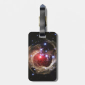 Light Echo Luggage Tag Gepäckanhänger (Rückseite vertikal)