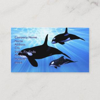 Light Echo Visitenkarte