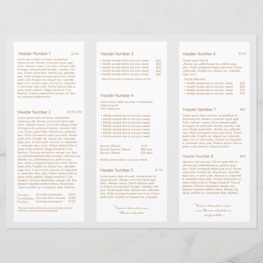 Light Gray Beauty Hair Salon Wellness-Center TriFo (Rückseite)