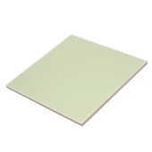 Light Green Ceramic Tile Fliese (Seite)