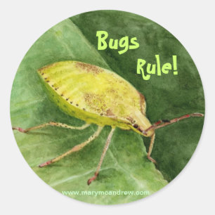 Light Green Stink Bug Runder Aufkleber