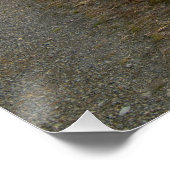 Light Hazzles Reservoir Poster (Ecke)