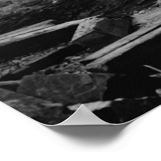 Light House Point Poster (Ecke)