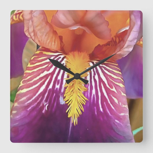 Light Iris Macro Artistic Abstrakt Quadratische Wanduhr (Vorderseite)