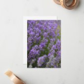 Light Lavender Pflanze Mitteilungskarte (Vorderseite/Rückseite Beispiel)