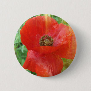 Light Leaks Red Poppy Button