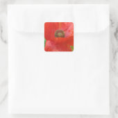 Light Leaks Red Poppy Quadratischer Aufkleber (Tasche)