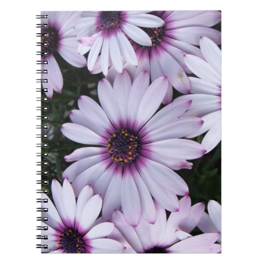 Light Lila Blooms Bouquet Notizblock (Vorderseite)