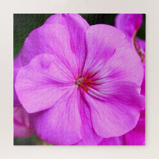 Light Lila Geranium Jigsaw Puzzle (Horizontal)