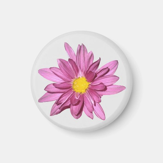 Light Lila Gerbera Magnet (Vorne)