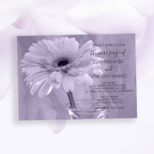 Light Lila Tinted Gerber Daisy Wedding