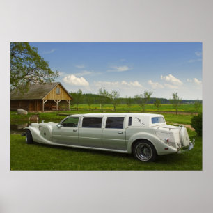 Light limousine in the meadow poster